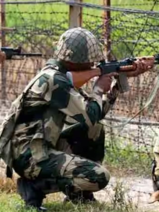 BSF : सीमा सुरक्षा बल में निकली भर्ती, 10वीं पास भी कर सकते हैं